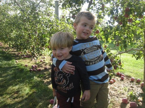 TFitanides's profile picture. 