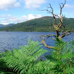 SJHuelin's profile picture. 