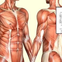 TomWazubb's profile picture. “ Here's Your Chance To Skip The Struggle 
and Master Human Anatomy & Physiology...