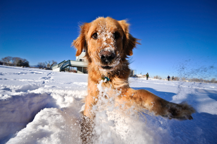 We help our clients with their Aspen real estate needs with professionalism and discretion.