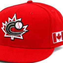 News, updates and reports on Canadian baseball players and teams.