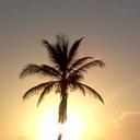 Jeff McCammon - @Fvillabuster - Twitter