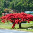 Aidy Rivera - @aidy_rivera - Twitter