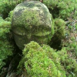 BrandyHemsley's profile picture. Tweets consist of fandom-related flailing, math, economics, and general wonkery.