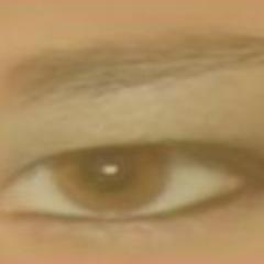 nerdlicious_lei's profile picture. I'm just your average every day ordinary really awesome person... Also an amateur voice actress who hosts a podcast.