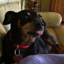 Samuel (Ty) Brown - @tyman27 - Twitter