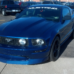 lanealane1's profile picture. 