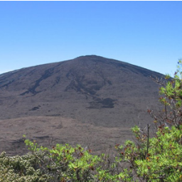 olipyt's profile picture. 