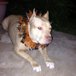 OpTiMist4Now's profile picture. 