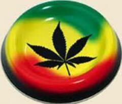 vida loka