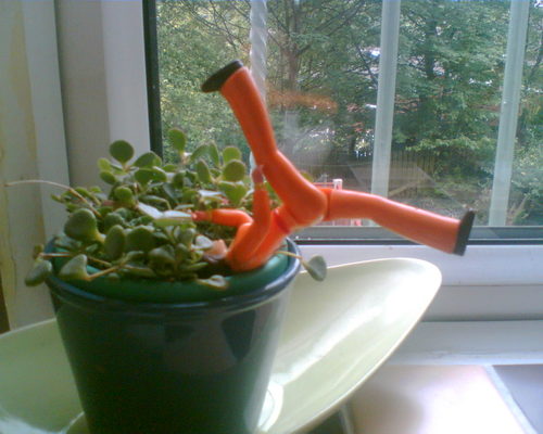 andreacotton's profile picture. 