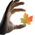 Hand Therapy Canada (@handtherapycan) Twitter profile photo Hand Therapy Canada (@handtherapycan) Twitter profile photo