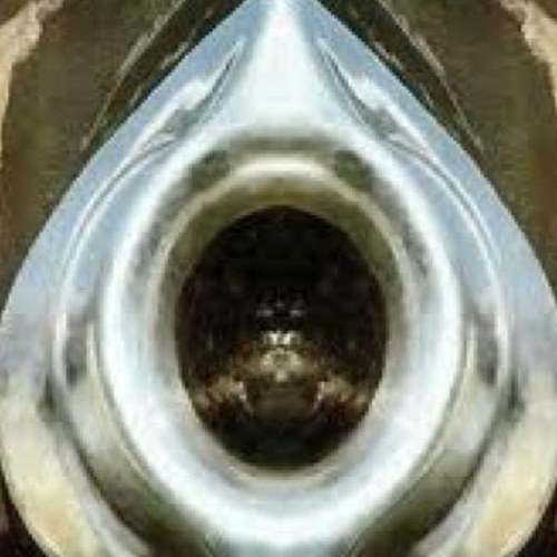 من احب الله احب الطريق اليه ولو كشف لك الغيب مخترت الى مختاره الله لك