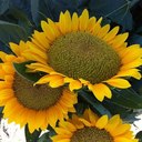 Jamie Doucette - @jdoset - Twitter