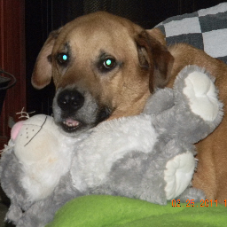 CJCj6565's profile picture. 