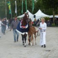 MKStables Profile