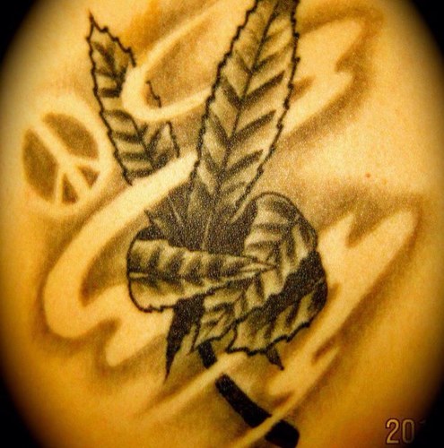 mahanchick13's profile picture. 