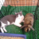 Eric Preuss - @Burgleson - Twitter