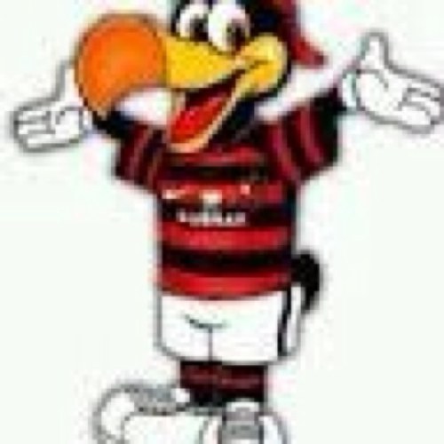 wendel35's profile picture. 