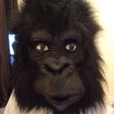 Gemma Gilbert - @Satsumo1 - Twitter