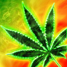 19 yr - cannabis lover - It's always 4.20 - Grow it, smoke it, share it - Let's get stoned! #StonerNation #StonerLove #HalfDutch #HalfEnglish