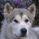 Jan Richter - @jantjezelf - Twitter