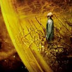 Tomcreo1313's profile picture. I keep coming back to life. Protector for the Tree of Life.