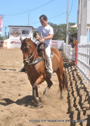 Estudante do Ensino Médio, pratico o melhor esporte do mundo a Vaquejada!