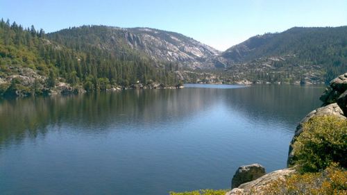 GlassOwlDigital's profile picture. Glass Owl Digital Marketing. Wisdom & Clarity.