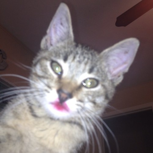 King_Charles47's profile picture. Sup im charlie. Direct message me if you wanna know more/shoot me a text