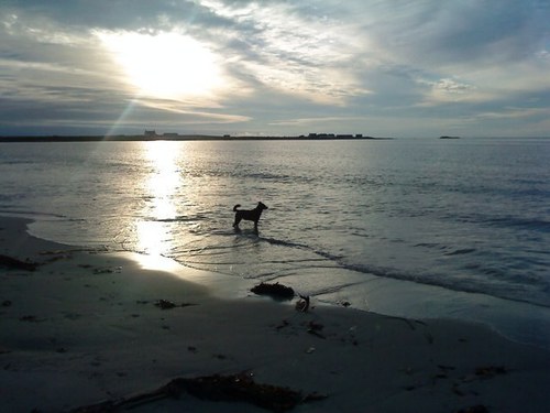 jeanettemacleod's profile picture. 