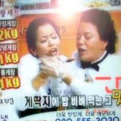 tmqh349's profile picture. hi