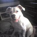 Eldon Edwards - @okiepitbull - Twitter