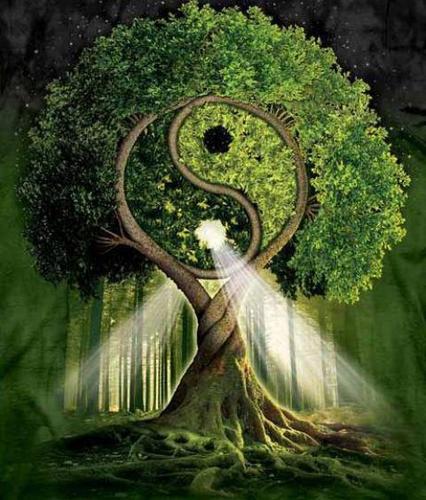 CorineMorrigan's profile picture. 