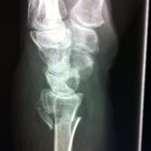 Courses in radiology aimed at those sitting the FRCR exam
