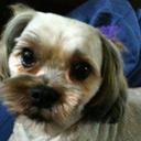 Rachel Nye - @Rac5h - Twitter