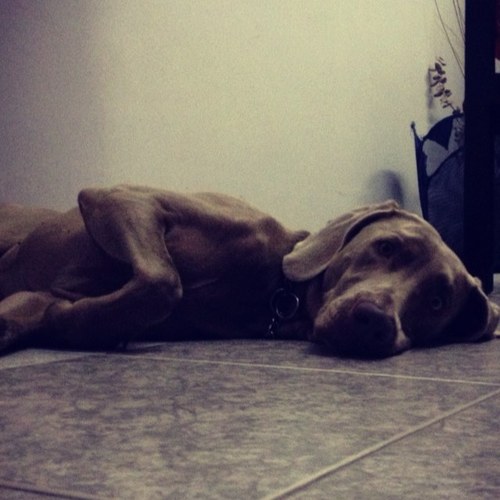 in_geniero's profile picture. Hater part time