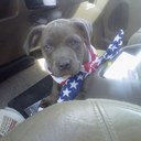 prentiss smith - @prentiss1963 - Twitter