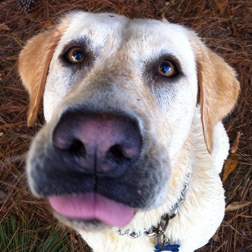 WCraneCantrell's profile picture. 