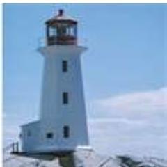 gillyffish's profile picture. 