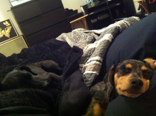 goodiner_69er's profile picture. 