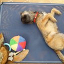 Walter Cairns - @walcairns - Twitter