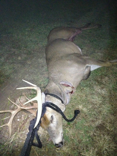I like to play Baseball Football and I love to hunt and go Fishing!
