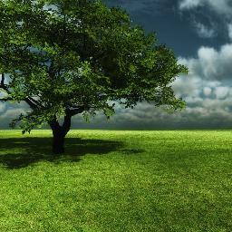 hodijones111's profile picture. 