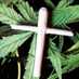 Legalize Freedom (@alwaysdankweed) Twitter profile photo