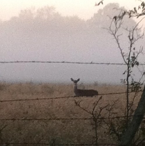 I'm a Texas Deer Hunter Fisherman, and all around redneck!!
