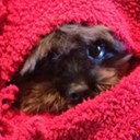 Beth Glenn - @bglenn01 - Twitter