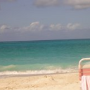 Lisa Holt Miller - @lilmongoose765 - Twitter