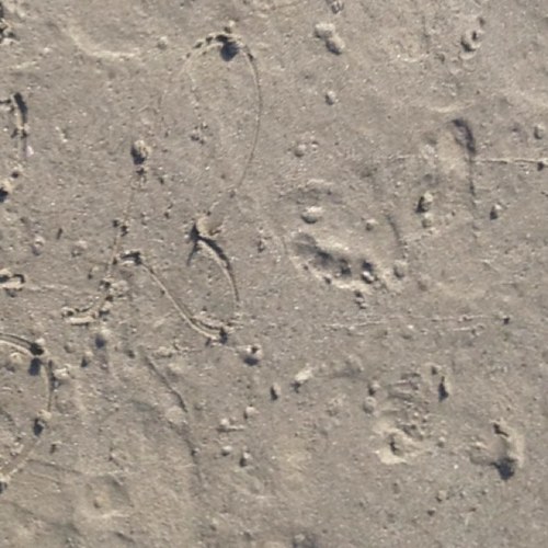 lachula0080's profile picture. 