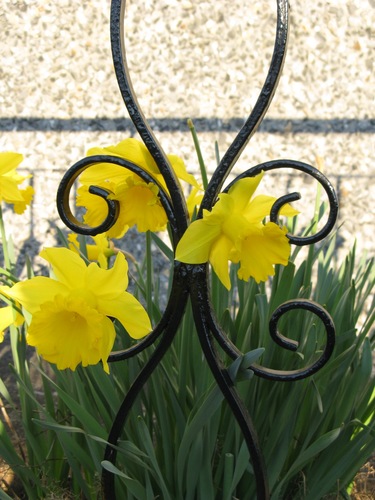 SingHeartYoga's profile picture. Teaching yoga as a path to connect with and care for ourselves, others, and this beautiful planet.